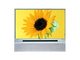 TCL DLP50T6