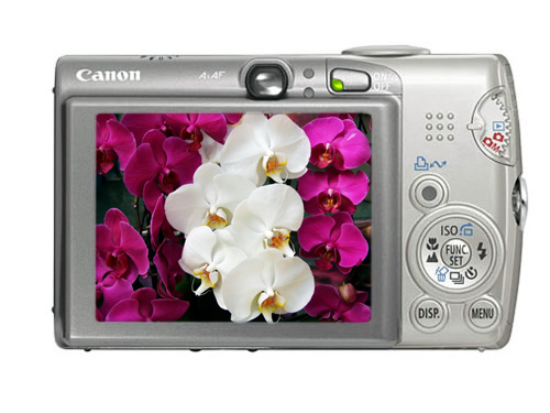 ���ܣ�Canon��IXUS 950 IS(SD850 IS��ͼƬ���� ��2�� -ZOL�йش����ߵ�2��