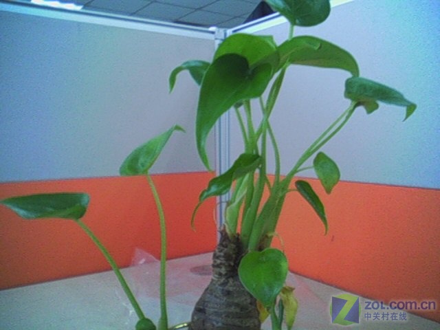 ��ɫ����T628ProͼƬ���� ��3�� -ZOL�йش����ߵ�3��