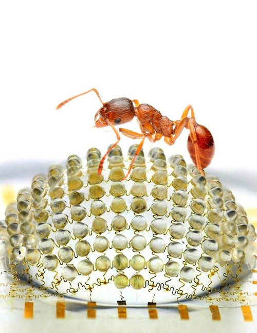 超大视角与景深 复眼照相机研发成功_明基 AE