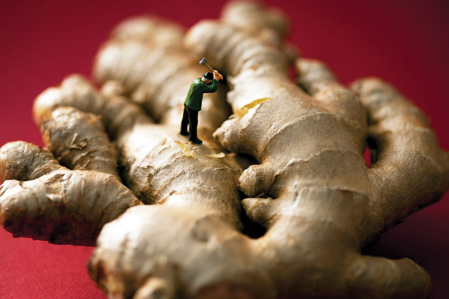 小人国的精彩 国外摄影师的创意厨房摄影_数码影像新闻-中关村在线