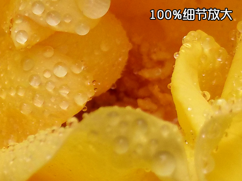微距样张100%放大细节图,依然十分清晰