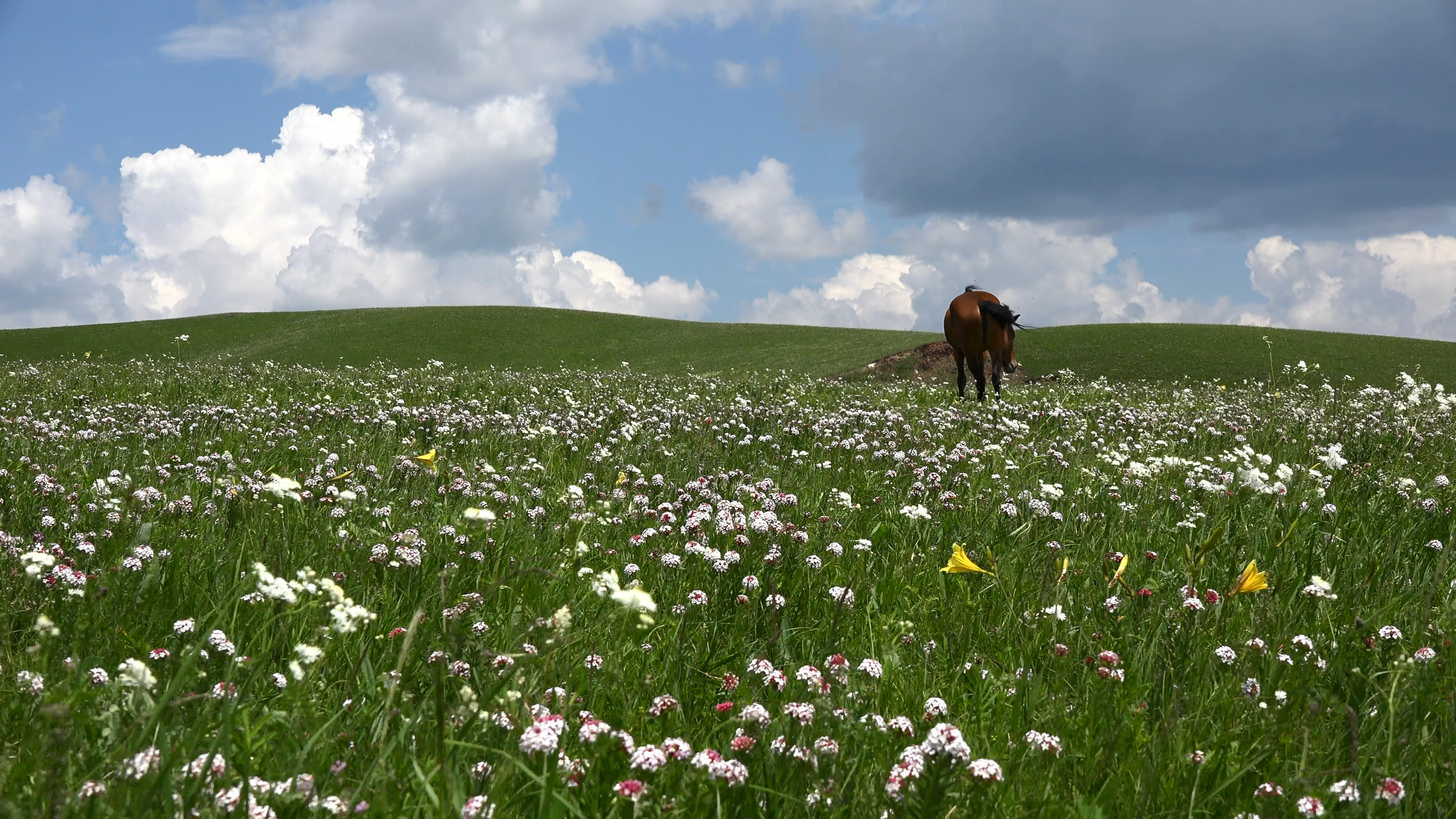 索尼高清壁纸4k