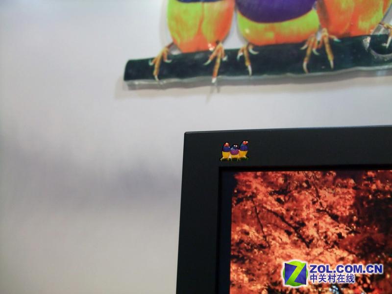 ���ɣ�ViewSonic��VA1912wbͼƬ���� ��37�� -ZOL�йش����ߵ�37��
