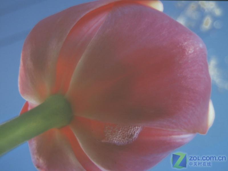 ZOL��ĩ����ͶӰ���� �̽�����MP771ͼƬ����,ͼ20-ZOL�йش����ߵ�20��