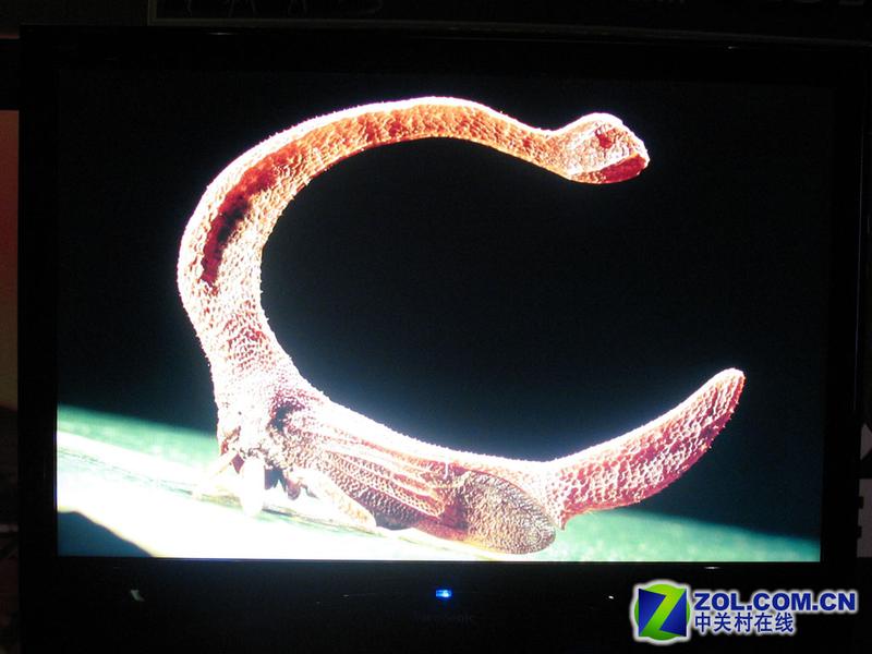 ���ɣ�ViewSonic��VLED221wmͼƬ���� ��13�� -ZOL�йش����ߵ�13��