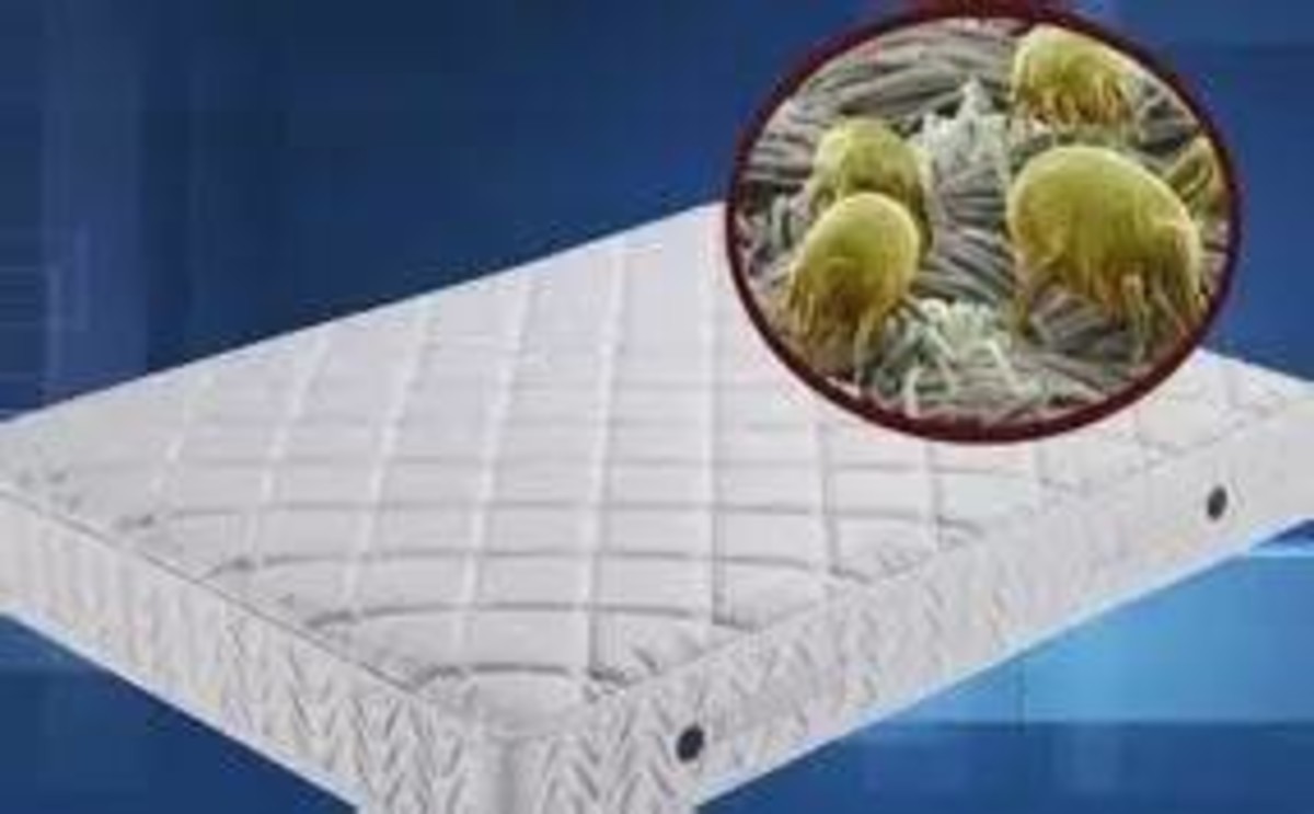 【高清图】买一台除螨仪多少钱?无线除螨仪真