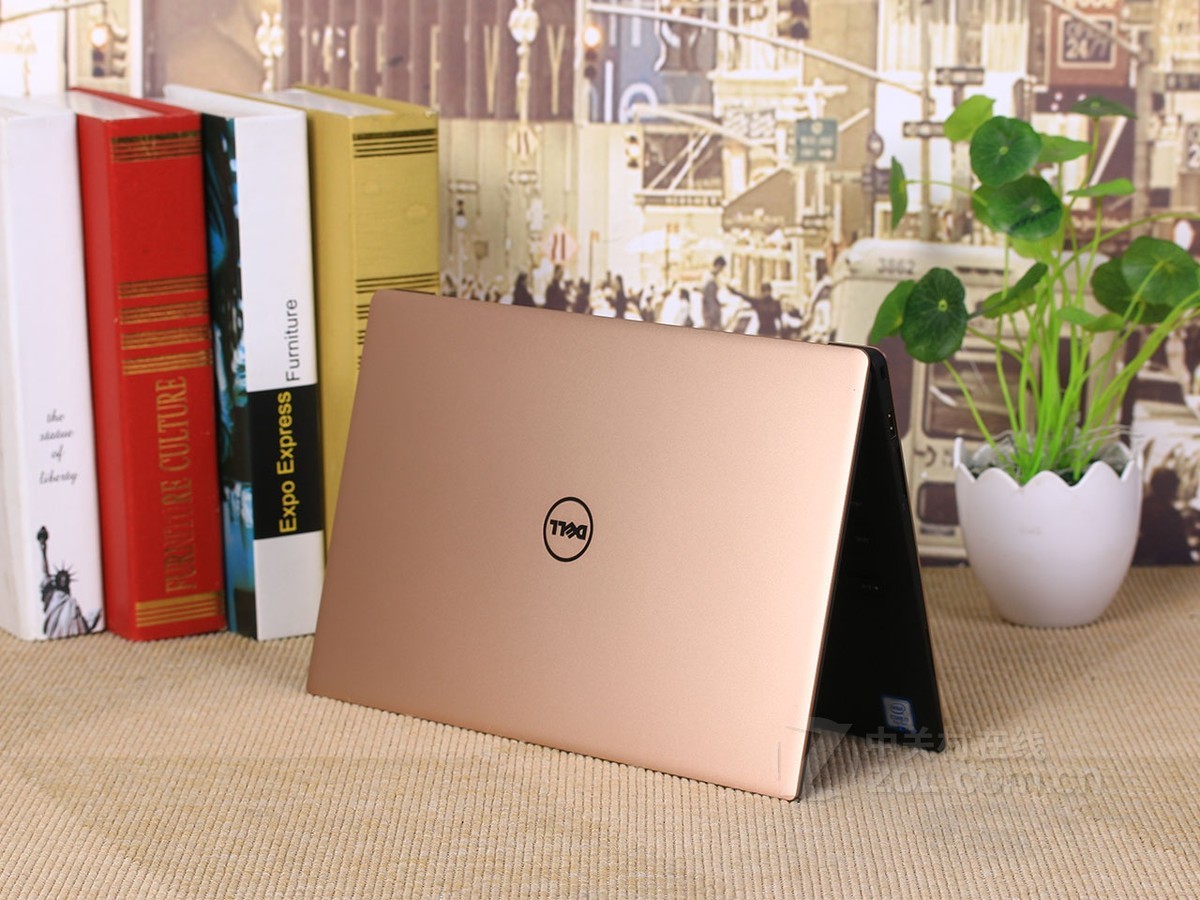 【高清图】戴尔(dell)XPS 13 微边框 玫瑰金(XPS 13-9360-D1705G)玫瑰金色 图317-ZOL中关村在线