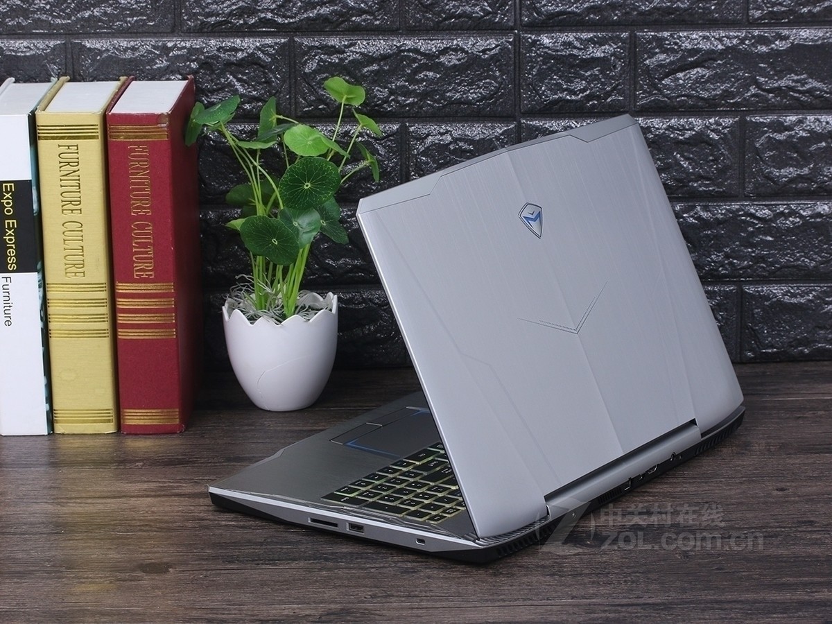 【高清图】机械师(MACHENIKE)F117-S11效果