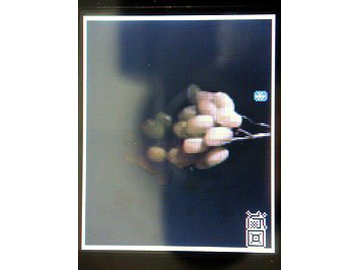 ŵ���ǣ�NOKIA��6111ͼƬ���� ��11�� -ZOL�йش����ߵ�11��