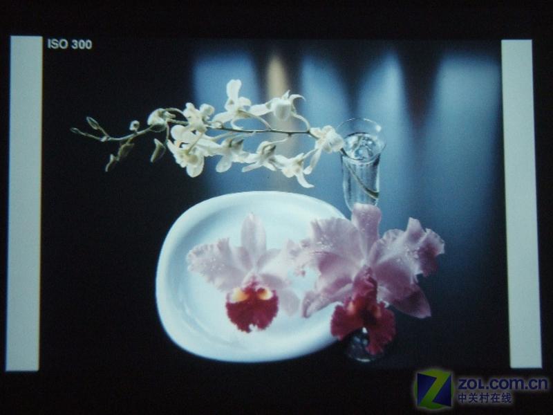Ŧ����Newmine��NM-PH01AͼƬ���� ��38�� -ZOL�йش����ߵ�38��