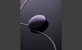 ����YP-S2(1GB)��Ʒ��ͼ