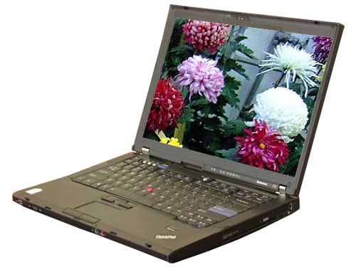 ����ThinkPadT61(8889CZ2) ��1��