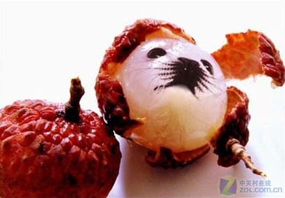 Photoshop大搞怪:合成可爱海豹型荔枝_PS下载