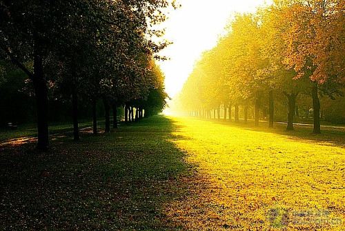 使用多种滤镜美化_美图秀秀官方下载2012