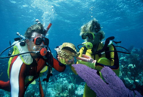 巴哈马-鸟瞰拿骚