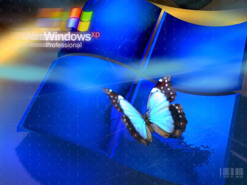 Windows XP���������������ֽ���Ͷ�ͼƬ����,ͼ3-ZOL�йش����ߵ�3��