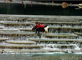 �¿�GPS�������ж�����������;�����ʤ���� 