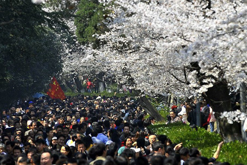 ����A371��Ʒ����  �����δ�����ӣ 