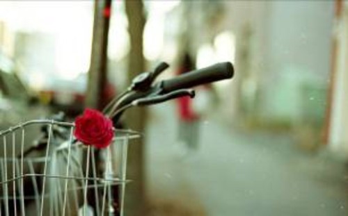 遇见一般的 Canon A-1 