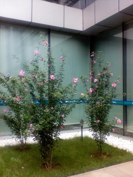 ��Ħ��V3i���� 200����������E788����ͼƬ����,ͼ20-ZOL�йش����ߵ�20��