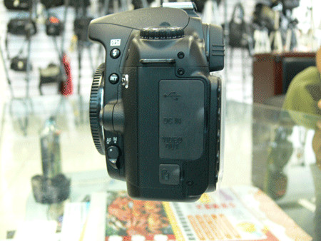 �῵��Nikon��D80ͼƬ���� ��82�� -ZOL�йش����ߵ�82��