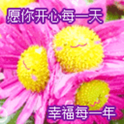 开心每一天动态图片表情图片展示图片