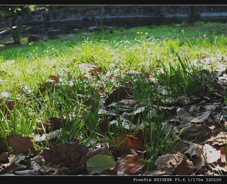 Fujifilm FinePix HS33EXRӰдֿɵ 