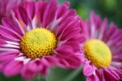 微单TM也“自拍”索尼推出四款新品