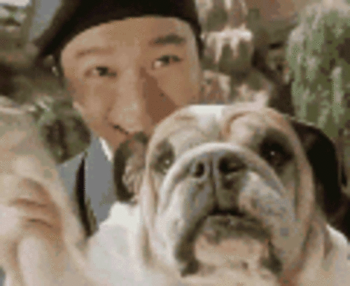 周星驰qq表情
