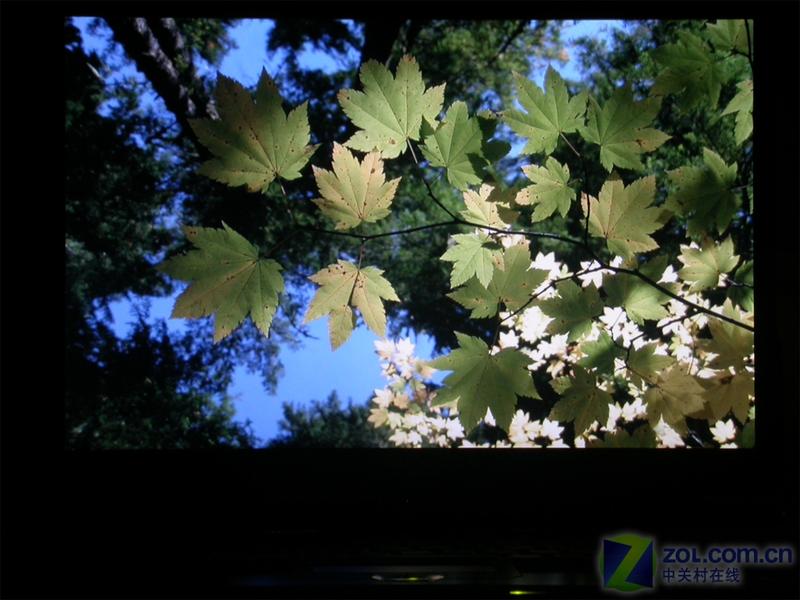 5�󳡾�12����Ϸ ��˶G1P��ǿ����սPCͼƬ����,ͼ4-ZOL�йش����ߵ�4��