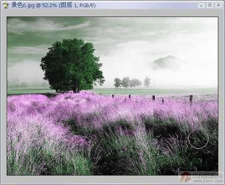 ��תPSͨ����ɫ ��Ƭ�ͷ�ɫ�����ı�ͼƬ����,ͼ1-ZOL�йش����ߵ�1��