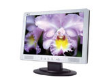 Acer AL1913W