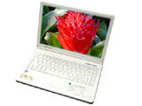 神舟优雅 Q310N