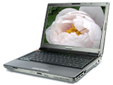 �������� F31GT7100-Pi