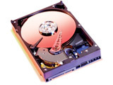 WD ���ӽ� 80BB 7200ת 2M(����)