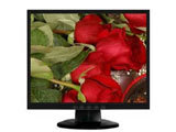 NEC LCD170VX