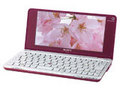 ���� VAIO P17H/R