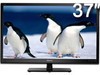 ���� LED37T36X3D