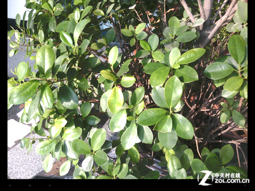 �ĺ˼�9.7������Ĥ�� ����V972�ĺ��ײ� 