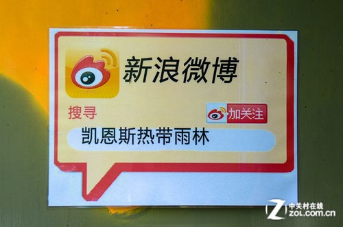 大C游世界 深入探险澳大利亚热带雨林