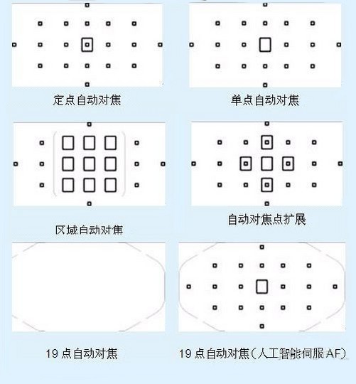 数码相机 正文关于对焦,笔者曾经有一段惨痛的经历.