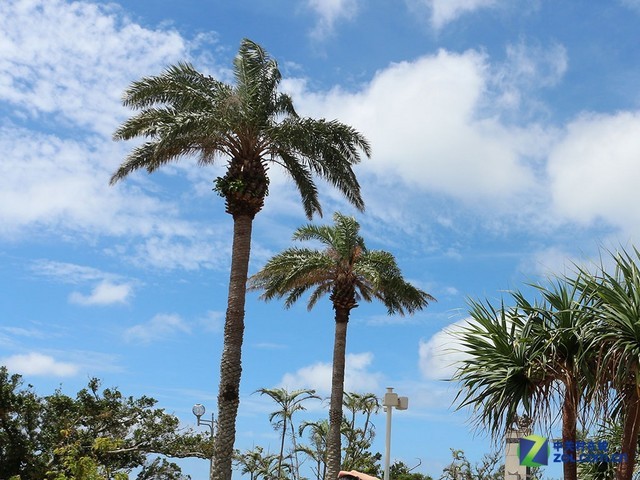 �����羰�����������������Ľ