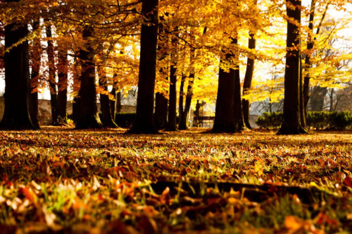 【高清图】 波西米亚--克鲁姆洛夫的秋天 摄影图赏图9