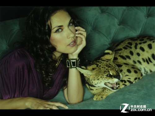 支持Win8手势操作 明基MW853UST抢先测