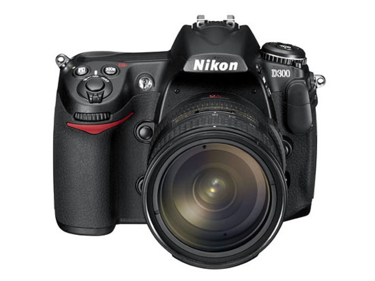 【高清图】 尼康(nikon)d300 图6