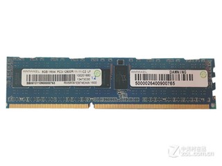 Ramax REG/DIMM/RECC/8G