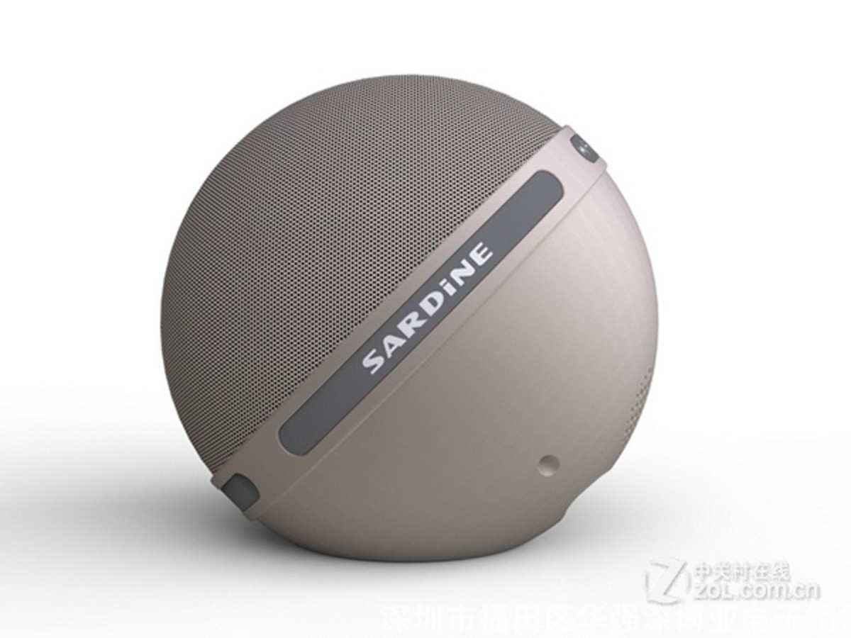 【高清图】 sardine(sardine)b2 图8