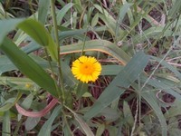 �ȷ�P80w������1