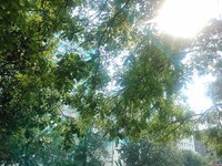 ����8950���ƶ��棩������1